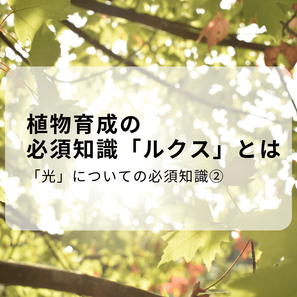 観葉植物育成に必要なルクスについてを３分で分かるよう分かり易く記事にしました。