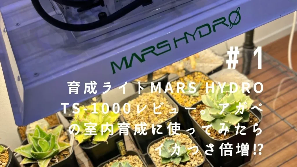 育成ライトMars Hydro TS-1000レビュー。アガベの室内育成に使ってみたらイカつさ倍増